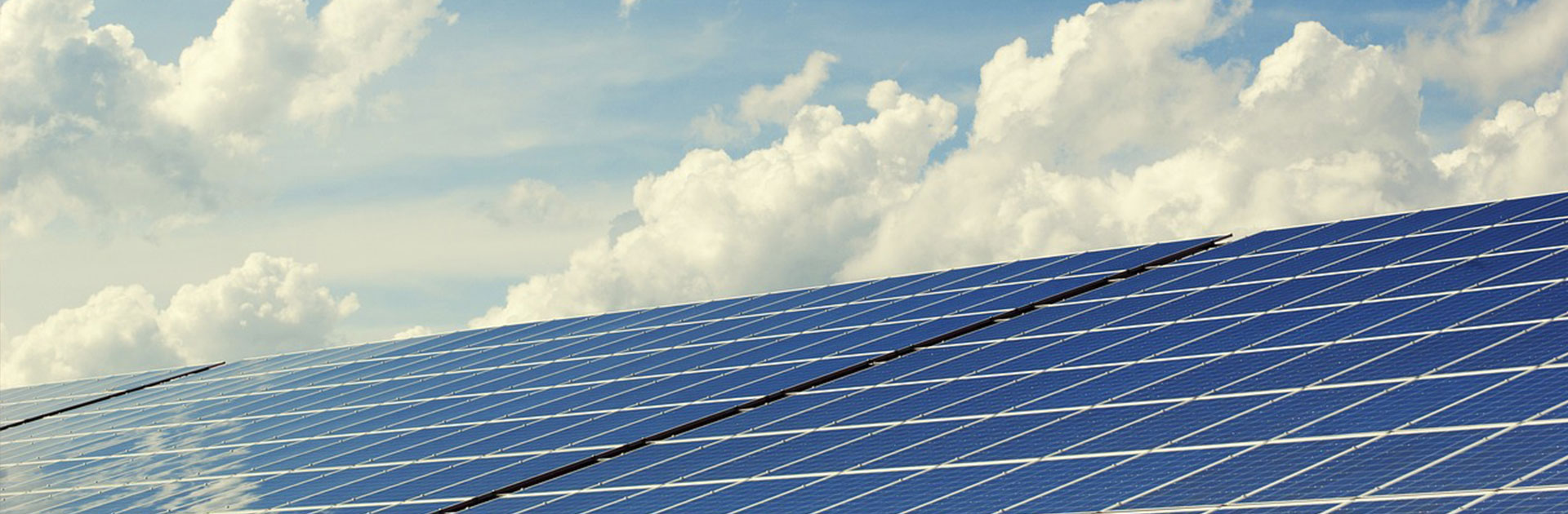 值得信赖的合作伙伴